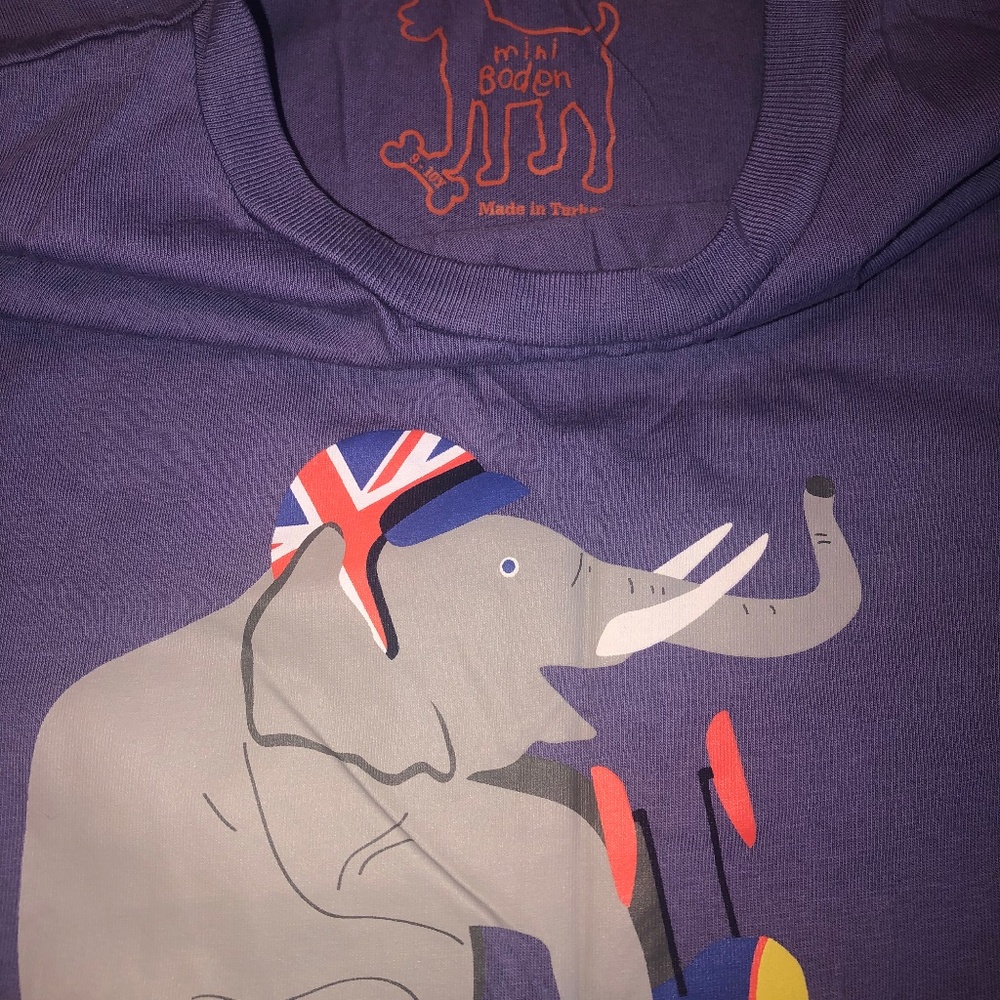 Mini Boden boys graphic tee